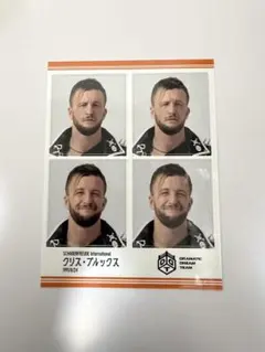 Item thumbnail for item 418ba81f-34b7-4835-b51b-8e86bc0006be