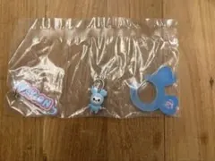 TWICE LOVELYS アクリルカラビナフロッキーマスコット　ナヨン