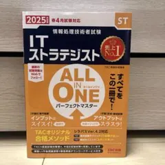 ITストラテジスト　オールインワン