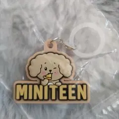 MINITEEN ぷっくりめじるしアクセサー DOA