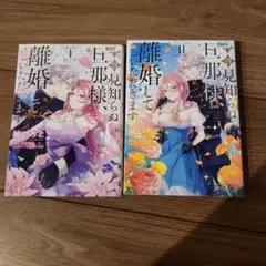 拝啓見知らぬ旦那様、離婚していただきます = To My Unfamiliar…