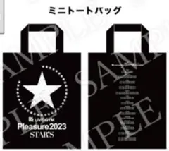 B'z LIVE-GYM STAR'S プレミアム席専用グッズ　ミニトートバッグ