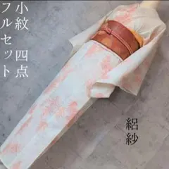 超特価！　洗える夏着物　絽紗　小紋　フルセット　ポリ　白地　草木ナチュラルS6rのサムネイル