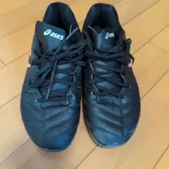 Item thumbnail for item 8e16bd44-640a-4de3-aedf-5aae11378e00