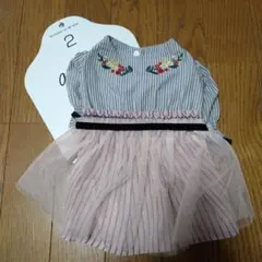 Item thumbnail for item 9e5fa522-7fc0-489b-b093-f34f2948207f