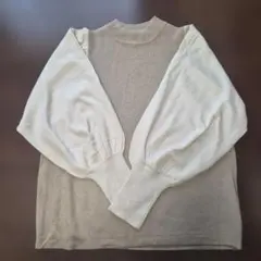 Item thumbnail for item 8fa2d68c-f3f3-4614-99f8-102ceb26d61d