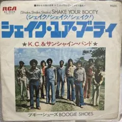 K.C. &The Sunshine Band Shake Your Booty