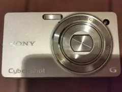 忠広さま専用】SONY Cyber-shot DSC-WX200 ゴールド - メルカリ