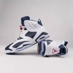 Nike Air Jordan 6 Olympic 27.5 新品未使用品