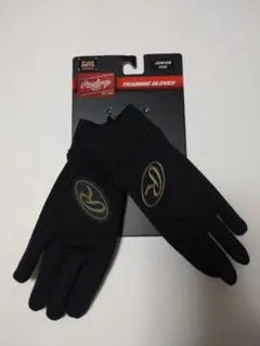 Item thumbnail for item 9570577f-82e8-4ecb-a9e7-086e040b661b