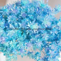 あんこ⌘様 リクエスト 2点 まとめ商品