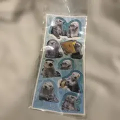 鳥羽水族館 ラッコ ステッカー メイ キラ