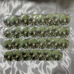 戦国BASARA プリンセスカフェ 星空party 缶バッジ 毛利元就 31個