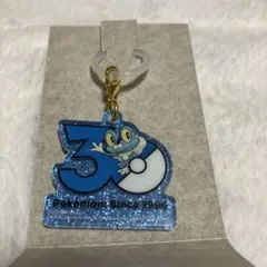 ポケモン ポケチャーム 30周年 ロゴマスコット ケロマツ