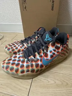 ジョーダン バッシュ