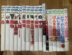 小学館の図鑑NEO DVDなし　19冊セット 小学館の図鑑NEO 30冊セット』【新版】 : 二子玉川 蔦屋家電 ヤフー店