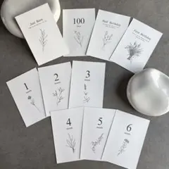 Item thumbnail for item 348d6e46-21b7-4cbb-88bf-2fa0e6eb780f