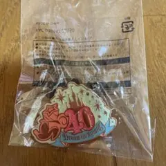 ディズニー　ピンバッジ　40周年　ミニー　新品未開封未使用
