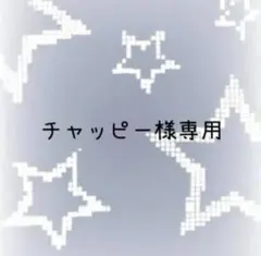 チャッピー様専用