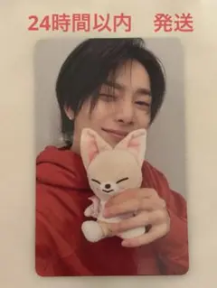 straykids アイエン　トレカ　ズートピア