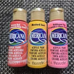 アメリカーナ未使用
