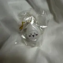 ちいかわ 韓国限定 キーリング レア イカ　チャーム Chiikawa