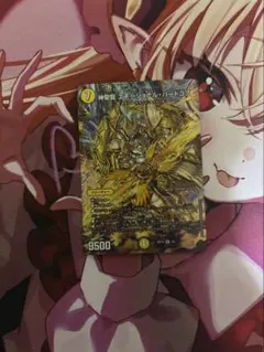 神聖龍　エモーショナルハードコア