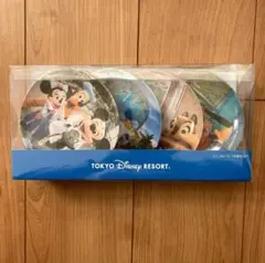東京ディズニーリゾート ミニプレート（4枚セット）