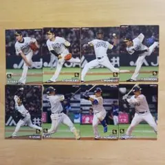 プロ野球チップス 福岡ソフトバンクホークス 　8枚セット