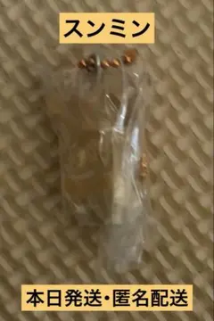 StrayKids スキズ SKZOO グミ&チャーム パピーム スンミン