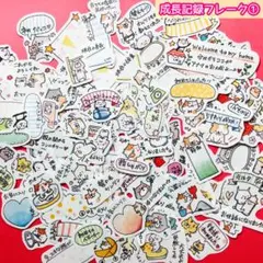 成長記録フレーク①のサムネイル