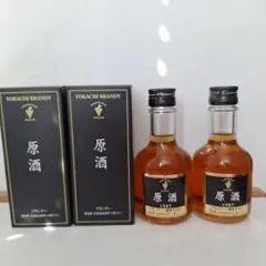 十勝ブランデー 1991 原酒 180ml - メルカリ
