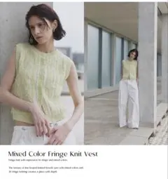 ミックスカラー フリンジニットベスト