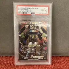 psa9ジガルデex sr 2017 PSA9鑑定済〕ジガルデEX(SR仕様)【-】{177/171}