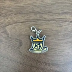 嵐 Beautiful world チャリティーチャーム