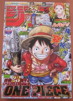 週刊少年ジャンプ1997年46号】ワンピース 表紙2回目 ワイドカラー b