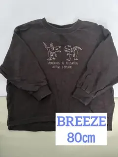 【BREEZE】恐竜刺繍ロンT 80㎝