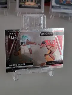 LeBron James Miami Heat Moments No. 4