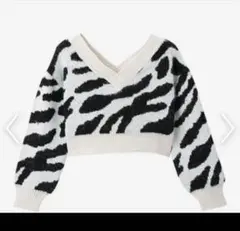 Avail ゼブラ柄 Vネック ニット 長袖