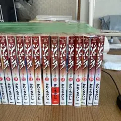 リンクスさん専用】無職転生 全巻セット+蛇足編1 の合計27冊 - メルカリ