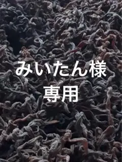 みいたん様専用