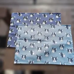 ♥ハンドメイドランチマット2枚セット