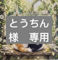 とうちん様　専用
