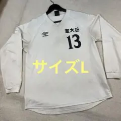 Item thumbnail for item f720733a-2d21-4728-b511-8e3a168c62b2