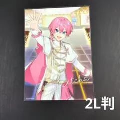 けちゃさん　すとふぇす　ブロマイド　2L判