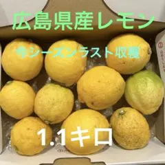 【国産】広島レモン10個1.08キログラムのサムネイル