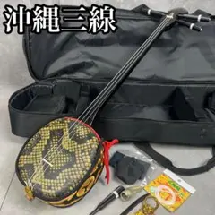 2026年最新】沖縄三線 初心者の人気アイテム - メルカリ