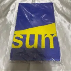 ブルーハーツ☆ライブツアー会場☆グッズタオル☆激レア☆ハイロウズ