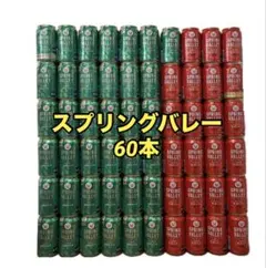 お酒 スプリングバレー まとめ売り 詰め合わせ クラフトビール お酒 スプリングバレー まとめ売り 詰め合わせ クラフトビール - メルカリ