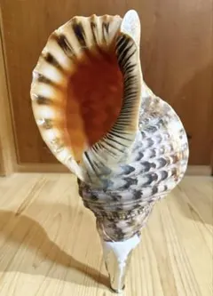 Item thumbnail for item 70ea91c8-62b3-4f18-b1df-37c7d26bc550